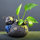 宇軒 創(chuàng)意手工小花器紫砂茶寵擺件茶玩茶藝鼠你有錢花插家居擺件 鼠你有財花器--藍衣