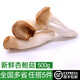 綠食者新鮮杏鮑菇500g炒菜食材煲湯燒烤食用菌菇火鍋食材
