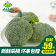 小湯山 西蘭花 約300g 新鮮蔬菜基地種植當(dāng)天采摘