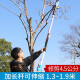 邁越電動(dòng)剪刀剪樹(shù)枝果樹(shù)高枝加長(cháng)伸縮園林無(wú)線(xiàn)充電修剪枝機電動(dòng)農具 剪高枝套裝-有線(xiàn)7.0開(kāi)口36V
