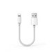 IUWL蘋果數(shù)據(jù)線快充充電寶短線0.2米便攜迷你適用iphone11/Xs Max/XR/8/7/6 蘋果20厘米【買一送一】