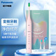 松下（Panasonic）電動(dòng)牙刷 變頻聲波震動(dòng)成人電動(dòng)牙刷 生日禮物 小瓷刷櫻桃粉EW-DC01-P406