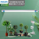 飛利浦(PHILIPS)全光譜LED植物生長燈大棚花卉室內(nèi)家用多肉補(bǔ)光燈仿太陽自然光光合作用燈 飛利浦24W全光譜燈管配飛利浦燈架和夾子