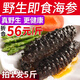 皇家麒麟大連即食海參單個(gè)裝500g/袋深海米刺參 實(shí)惠款共5斤（8-12只/斤）