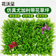 花沃里 仿真草坪(帶花尤加利40*60)仿真植物墻綠植墻假草坪草皮墻面裝飾