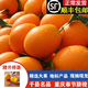逮果重慶奉節臍橙紐荷爾春橙福本特級大果禮盒裝時(shí)令新鮮孕婦水果橙子 特級果10斤禮盒裝【JD/順豐】