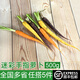 綠食者新鮮迷彩手指胡蘿卜500g 去葉彩色迷你小胡蘿卜 西餐蔬菜