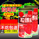 AIPHAROW拉瑪紅血鸚鵡飼料中型熱帶魚(yú)糧羅漢魚(yú)食增紅增色魚(yú)料地圖招財招神 360g瓶裝