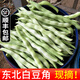 辰實東北白豆角（發(fā)順豐）新鮮蔬菜白不老蕓豆角 白大架豆角 現(xiàn)摘 5斤