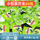 泰娘芥末醬魚生壽司 青芥辣醬油各30小包裝 組合迷你包壽司刺身打包 小芥末 60包