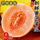 栩季（XUJI）正宗陜西民勤黃河蜜瓜甜瓜大果水果當季金紅寶白心香瓜密瓜 黃河蜜瓜 凈重2.5（1-2個）