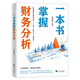 一本書掌握財務(wù)分析（擁有財務(wù)分析能力，就擁有了財務(wù)思維，就能在內(nèi)部決策和外部投資中獲益）