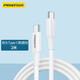品勝雙頭Type-C數據線(xiàn)適用蘋(píng)果17/16/15Pro快充ipadpro充電線(xiàn)PD20w充電器mini6電腦air5/4套裝ctoc加長(cháng) 雙頭Type-C快充線(xiàn)2米