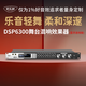 麥樂迪DSP6300卡拉ok混響器 數(shù)字音頻前級效果器 家庭影院防嘯叫調(diào)音臺處理器含話筒 調(diào)音臺均衡器 DSP6300藍(lán)牙升級版(含線) 標(biāo)準(zhǔn)版