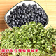 黑豆黃豆綠豆紅豆種子豆芽菜水培菜芽苗菜紙上種菜四季蔬菜種子 小粒黑豆1斤(專(zhuān)生豆芽 芽苗菜)