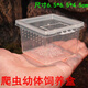 澤馭名寵昆蟲(chóng)幼體飼養盒蜘蛛蝎子幼體飼養盒翻蓋透氣樹(shù)棲盒蜘蛛盒迷你盒 小方盒6.5*6.5*4.5cm