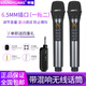 SOUNDHUANG  Q60k歌話(huà)筒無(wú)線(xiàn)一拖二家用混響回聲帶藍牙充電動(dòng)圈聲卡AUX口音箱麥克風(fēng) 6.5MM接口 一拖二