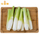 馬保果茭白新鮮帶殼農(nóng)家時(shí)令鮮嫩現(xiàn)摘蔬菜菰茭兒菜茭瓜特色 精選裝1斤