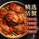 【活蟹】興化大閘蟹現(xiàn)貨鮮活公母大螃蟹海鮮水產(chǎn)生鮮河蟹送禮禮品 全母3.5兩10只