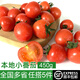 綠食者 本地小番茄450g 新鮮水果酸甜爽口迷你小西紅柿