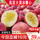 甘百薈甘肅冰糖心丑蘋(píng)果紅富士高原不打蠟精選脆甜陽(yáng)光果靖遠禮盒裝蘋(píng)果 （18枚精選）毛重10斤大果
