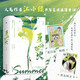 夏日螢火（江小綠繼《漂亮的他不說話》后，高人氣救贖治愈力作！黏人精少爺VS元?dú)馍倥?，隨書附贈(zèng)：“夏日游”貼紙、男友轉(zhuǎn)正卡 。新增未公開番外《云鎮(zhèn)夏末》）