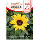 花友秀 向日葵種子太陽(yáng)花高桿矮家庭盆栽 陽(yáng)臺 辦公室 庭院花壇盆栽 矮桿向日葵種子50粒