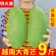 芒果大青芒熱帶新鮮水果青皮越南當(dāng)季純甜特大芒果整箱 9斤裝 品質(zhì)大果甜蜜多汁
