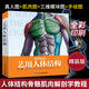 藝用人體結(jié)構(gòu) 伯里曼精裝版全彩 骨骼肌肉基礎(chǔ)教程素描入門教材