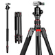 曼比利EP-254L相機三腳架單反攝影攝像手機穩定支架鋁合金微單戶(hù)外旅行輕便攜直播自拍照三角架 EP-254【球型云臺款】