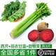 綠食者 新鮮榨汁蔬菜套餐3斤 西芹羽衣甘藍(lán)甜菜根組合 西餐健康輕食蔬菜