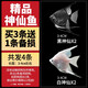 瘋狂水草神仙魚(yú)活體七彩燕魚(yú)熱帶觀(guān)賞魚(yú)淡水水族寵物熱帶耐活魚(yú)苗小型 黑神仙＋白神仙 3cm4條
