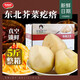 錦喜順芥菜疙瘩頭東北特產(chǎn)咸菜芥菜疙瘩絲涪陵大頭新鮮下飯菜 東北芥菜疙瘩5斤【整箱裝】