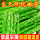 蘆筍新鮮5斤山東產(chǎn)地現挖嫩筍當季農家蔬菜綠蘆筍青筍春筍龍須菜 3斤 青蘆筍中筍