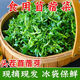 苜蓿菜新鮮當季食用產地直銷現(xiàn)摘現(xiàn)發(fā)露天頭茬野菜蔬菜嫩草苜蓿芽 3斤（泡沫箱+冰袋）
