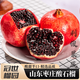 世果達山東棗莊酸石榴新鮮冠世鴿血黑籽瑪瑙特酸甜半口石榴嶧城特產(chǎn)水果 10斤超大果【單果1.2-1.5斤】