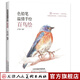 色鉛筆溫情手繪百鳥(niǎo)繪畫(huà)畫(huà)書(shū)教材美術(shù)教程新手自學(xué)教程天津人民美術(shù)出版社 天美少兒