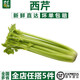 千牛優(yōu)?！厩?yōu)福】西芹1000g 新鮮蔬菜大芹菜洋芹菜 西餐配菜 榨汁蔬菜