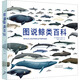 圖說(shuō)鯨類(lèi)百科 北京美術(shù)攝影出版社 (美)安娜麗莎·貝爾塔 著(zhù) 李松海,薛天飛 譯 新華正版書(shū)籍包郵