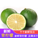 辰實【現(xiàn)貨】 新鮮青檸檬 無籽青檸檬 綠皮小青檸薄皮香水檸檬 3斤新鮮青檸檬