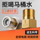 寶麗吉（BAOLIJI） 4分通用馬桶止回閥防反水黃銅單向止逆閥熱水器管道止回閥防倒流 【全銅本色款】馬桶單向止回閥