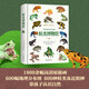 正版 博物文庫 自然博物館叢書(shū)  盒裝版博物文庫  給兒童的科普百科全書(shū)讀物 北京大學(xué)出版社 蛙類(lèi)博物館