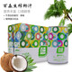 椰彩百森生榨椰子汁 新鮮椰310ml*24罐整箱 植物蛋白飲料 椰奶 310ml*15罐