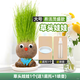 綠有意六一兒童節草頭娃娃頭上長(cháng)草娃娃人盆栽種植澆水長(cháng)頭發(fā)種草幼兒園 長(cháng)草】組合娃娃1個(gè)+液+托盤(pán)+噴壺
