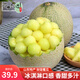 魯禧山東玫瓏蜜瓜 網(wǎng)紋密瓜冰淇淋口感 當季鮮鮮水果網(wǎng)紋蜜瓜新鮮香甜 9斤裝 凈重8.5-9斤【家庭共享】