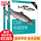 CSS權威指南（第四版）