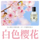 柏世曼（poacherman）櫻花味香水SAKURA東京浪漫櫻花女士香水持久淡香清新自然淡香 36白色櫻花30ml