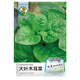 綠林花語大葉木耳菜種子小青菜陽臺盆栽菜種蔬菜種籽菜苗四季種植陽臺盆栽
