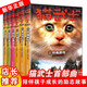 【贈課外書+電子書】貓武士·首部曲（全6冊）艾琳·亨特 呼喚野性寒冰烈火疑云重重風(fēng)起云涌險路驚魂貓武士一部曲