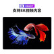 樂(lè)視（Letv）超級(jí)電視 F50 50英寸全面屏 2GB+16GB大存儲(chǔ) 4K超高清智能 尾貨送掛架  50英寸 HDR 超清4K 網(wǎng)絡(luò)